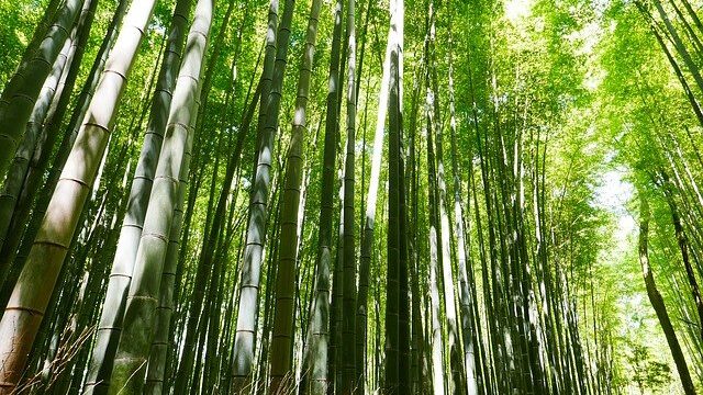 京都特別観光ラウンジとは?SPGアメックスで無料で休憩ができる超穴場?