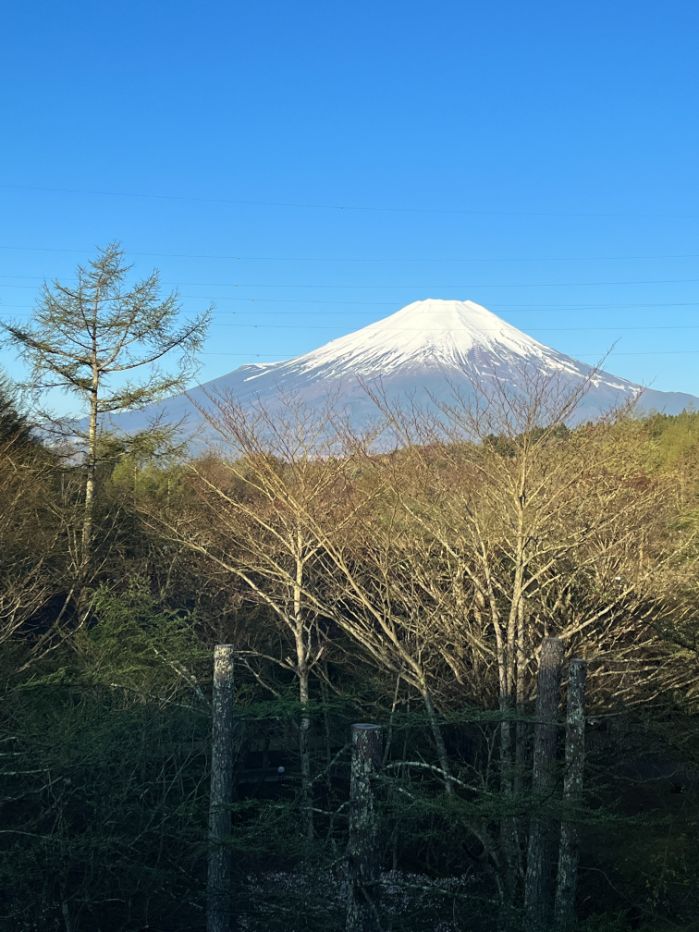 富士マリオットから見えた富士山