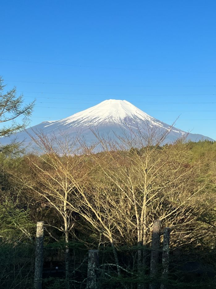 富士マリオットから見えた富士山