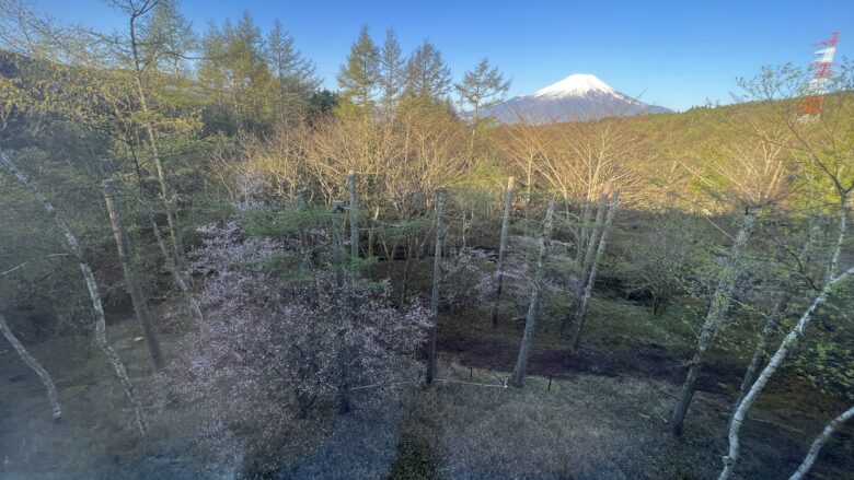 富士マリオット客室から見える富士山