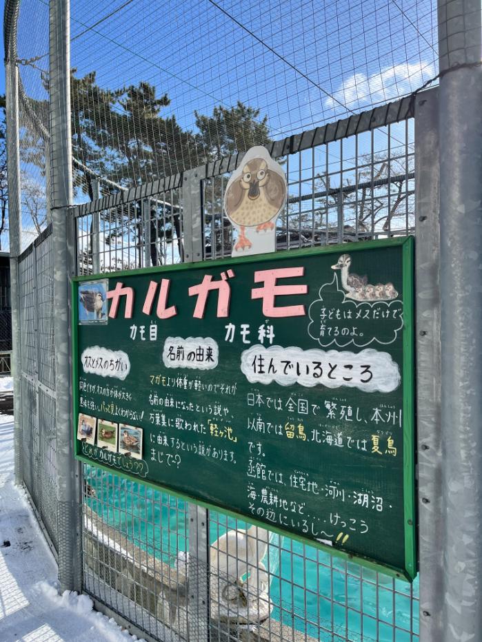 北海道函館のポケふた