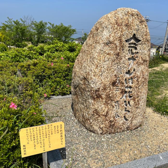 ベイリーフとフレフワンのポケふた|淡路