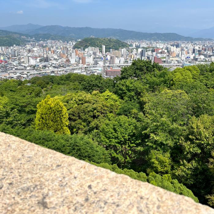 松山市｜シュバルゴとネギガナイト
