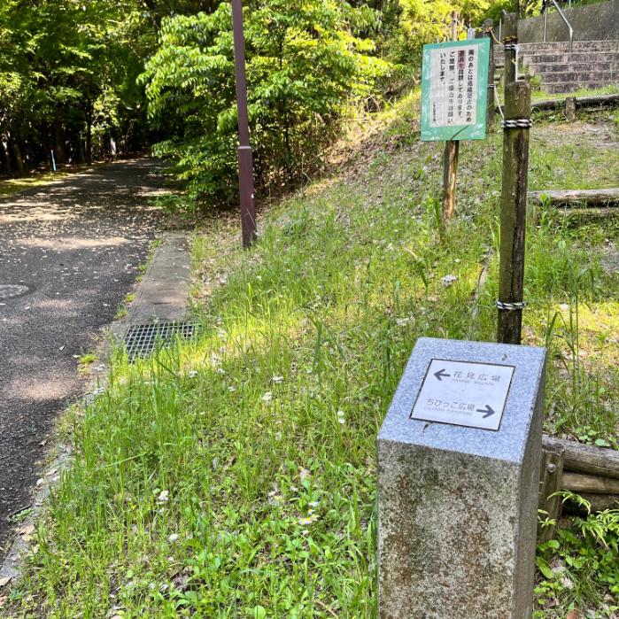 松山市｜シュバルゴとネギガナイト