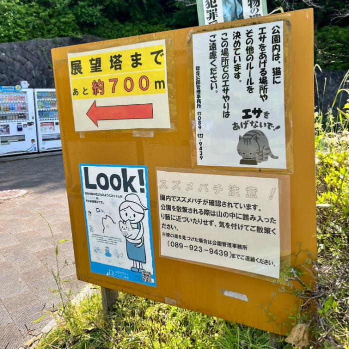 松山市｜シュバルゴとネギガナイト