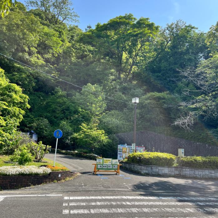 松山市｜シュバルゴとネギガナイト