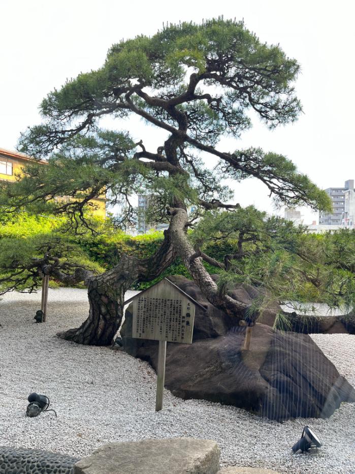 道後館｜フリーラウンジ