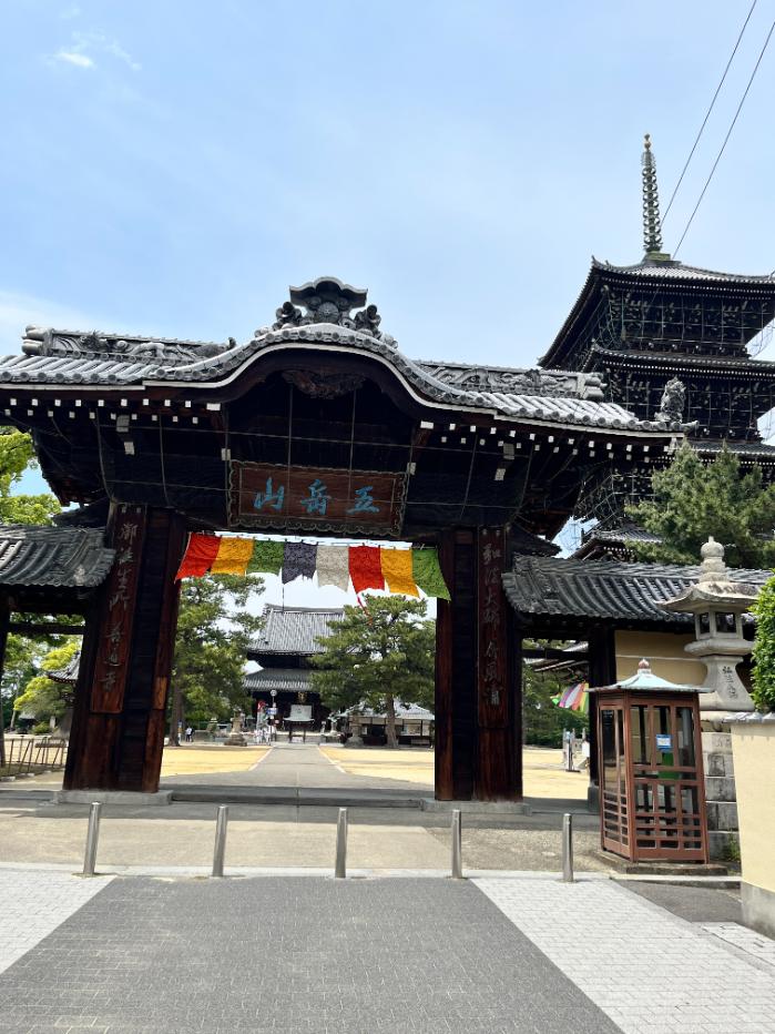 香川県善通寺市|ヤドンとヤドランのポケフタ
