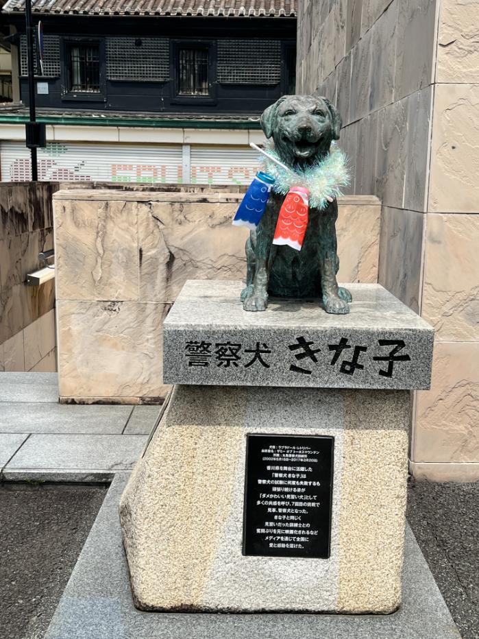 香川県丸亀市｜ヤドンのポケフタ