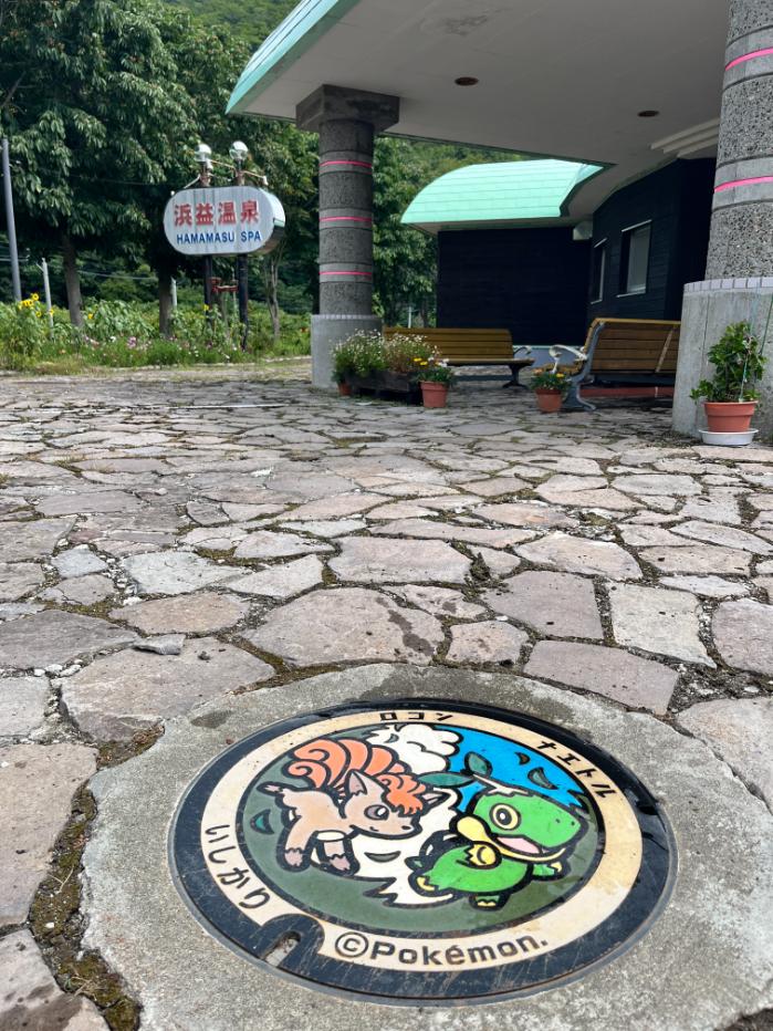 ロコンとナエトルのポケフタ