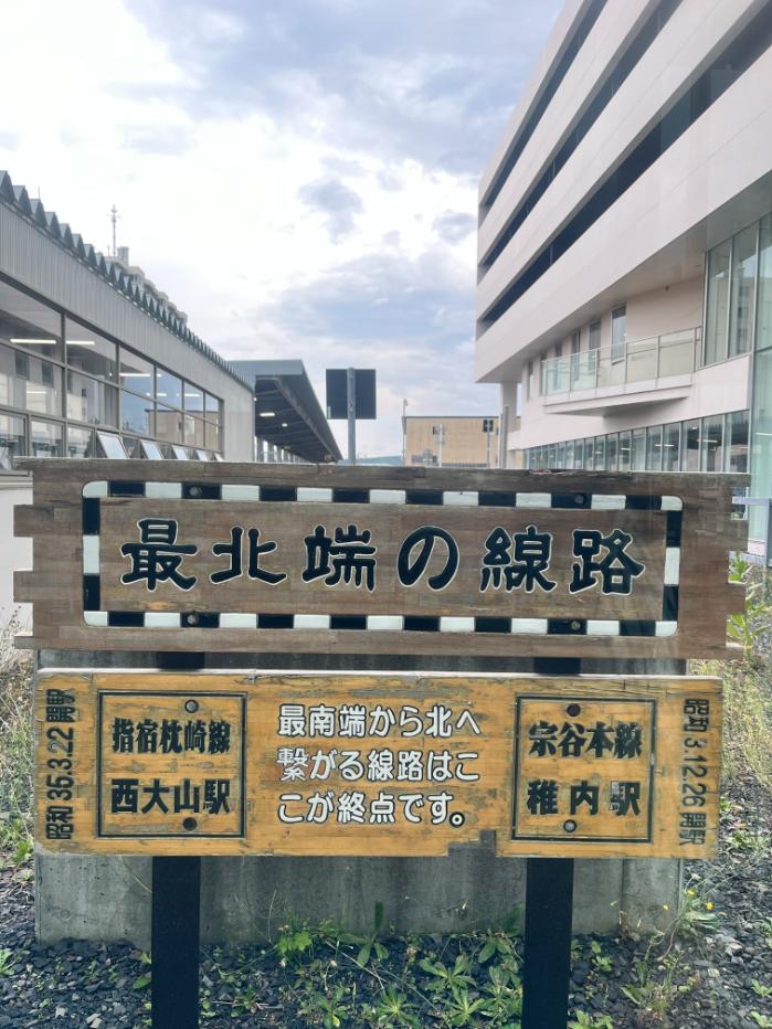 アローラロコンとアローラキュウコンのポケフタ|北海道稚内