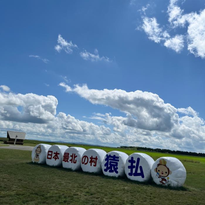アローラロコンとロコンとエイパムのポケフタ|北海道猿払