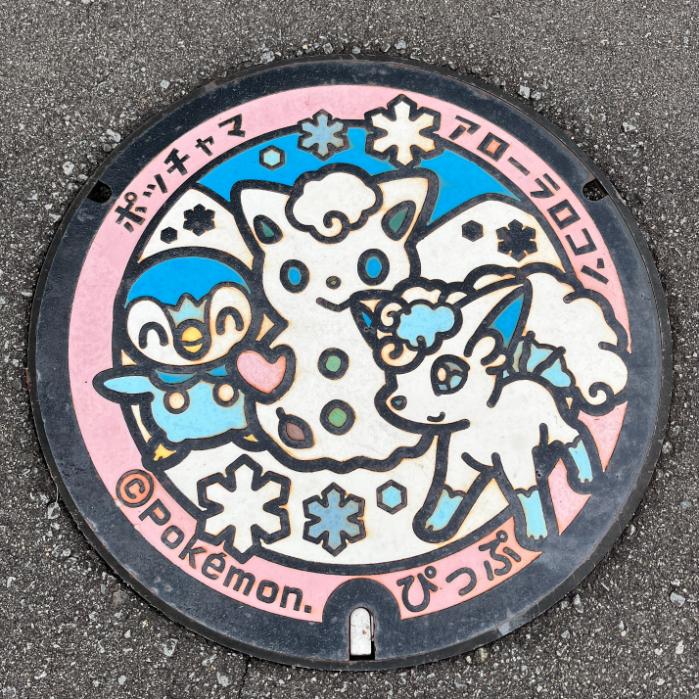 ポッチャマとアローラロコンのポケフタ|北海道比布町