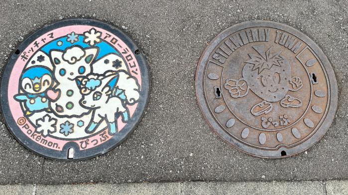 ポッチャマとアローラロコンのポケフタ|北海道比布町