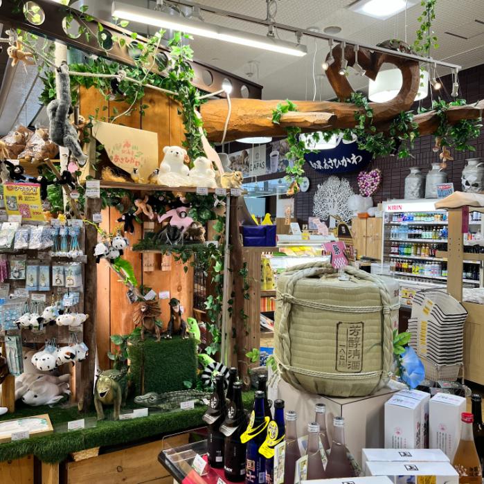 コオリッポとアローラロコンとクマシュンのポケフタ｜北海道旭川市