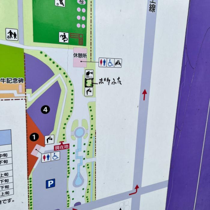 アローラロコンとエネコロロのポケフタ|北海道上富良野町