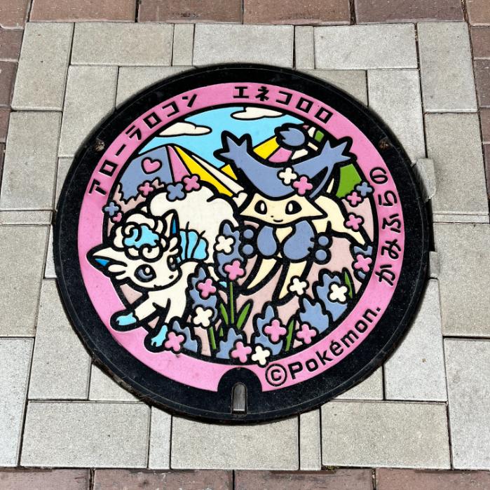 アローラロコンとエネコロロのポケフタ|北海道上富良野町