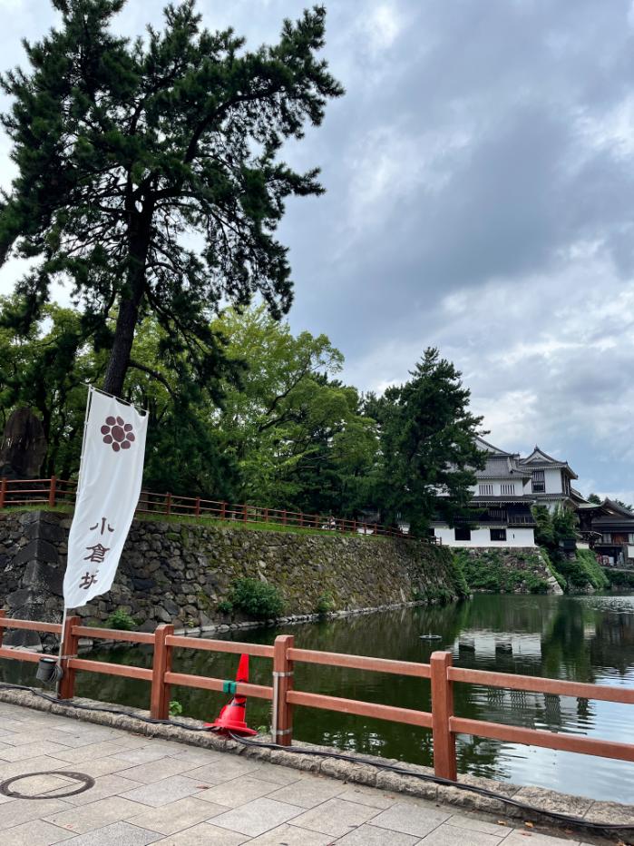 福岡県北九州市のポケフタ｜ボスゴドラ