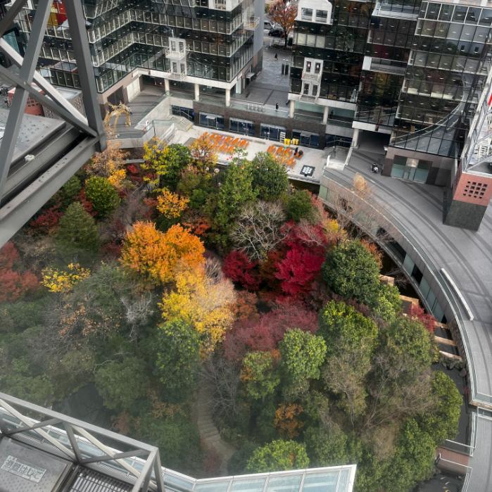 ウェスティン大阪｜客室