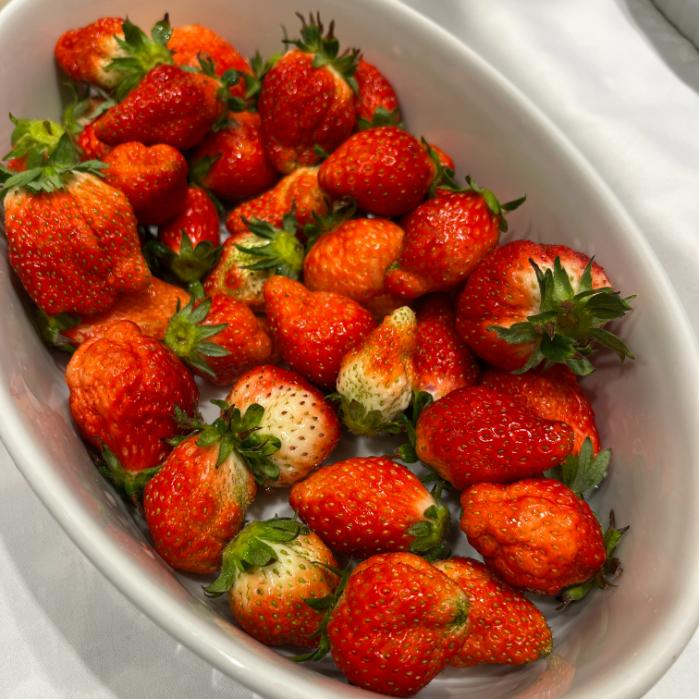 ラビスタ東京ベイ｜朝食