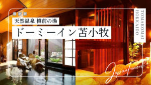 ドーミーイン苫小牧【天然温泉 樽前の湯】の宿泊記｜客室や温泉朝食