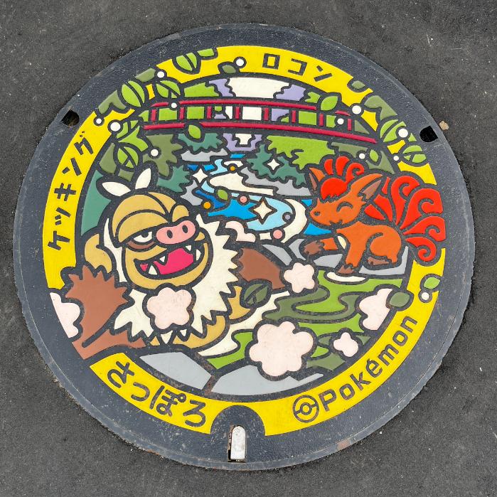 北海道札幌市のポケフタ｜ロコン・ケッキング