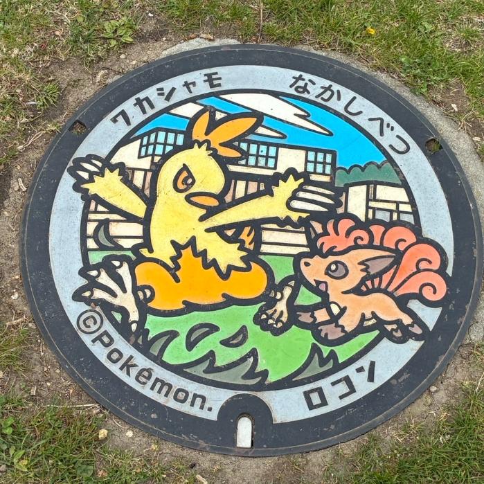 北海道中標津町ポケフタ|ワカシャモ・ロコン