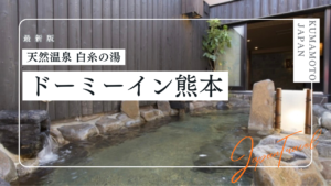 天然温泉 六花の湯 ドーミーイン熊本の宿泊記｜客室や温泉、朝食をご紹介