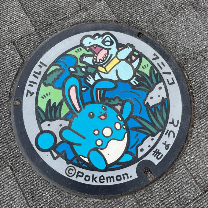 京都府京都市のポケフタ