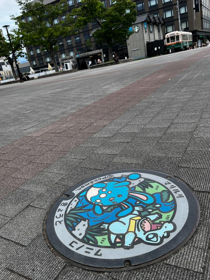 京都府京都市のポケフタ