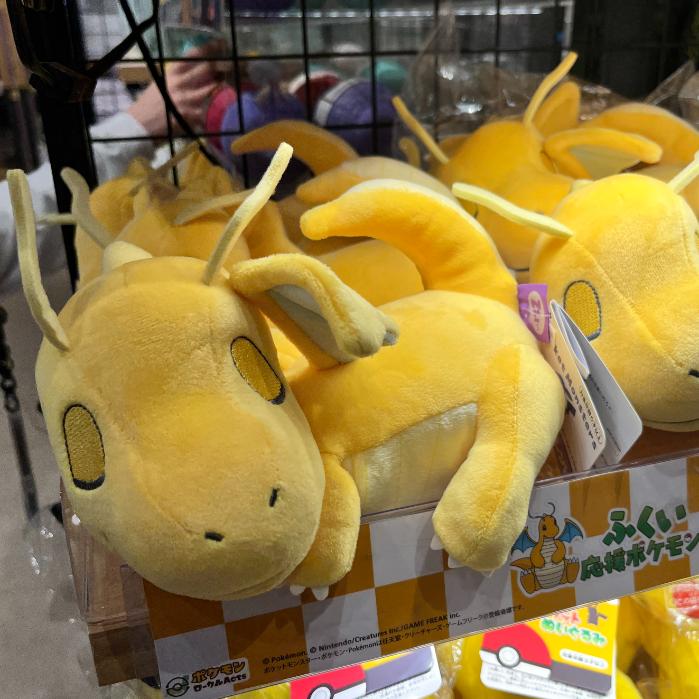 福井県福井市のポケふた