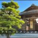 紫翠ラグジュアリーコレクションホテル奈良のプラチナ特典や宿泊記